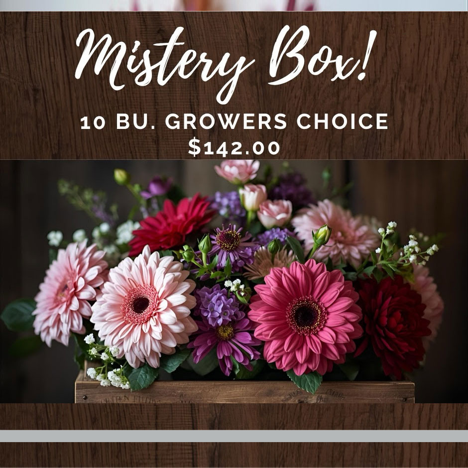 The Rose Guys Mystery Box